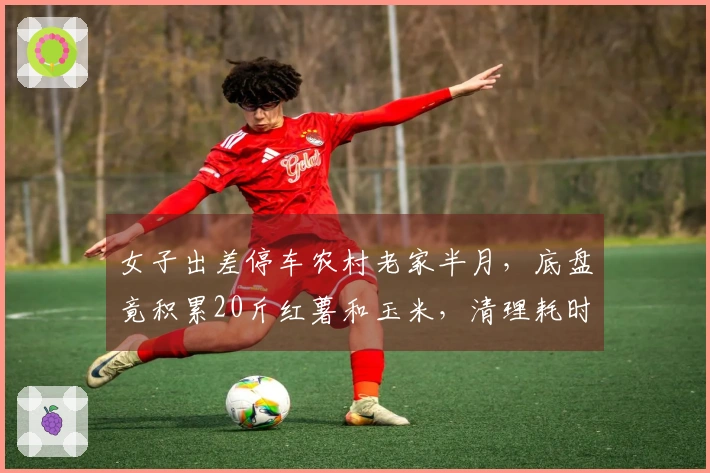 女子出差停车农村老家半月，底盘竟积累20斤红薯和玉米，清理耗时20分钟